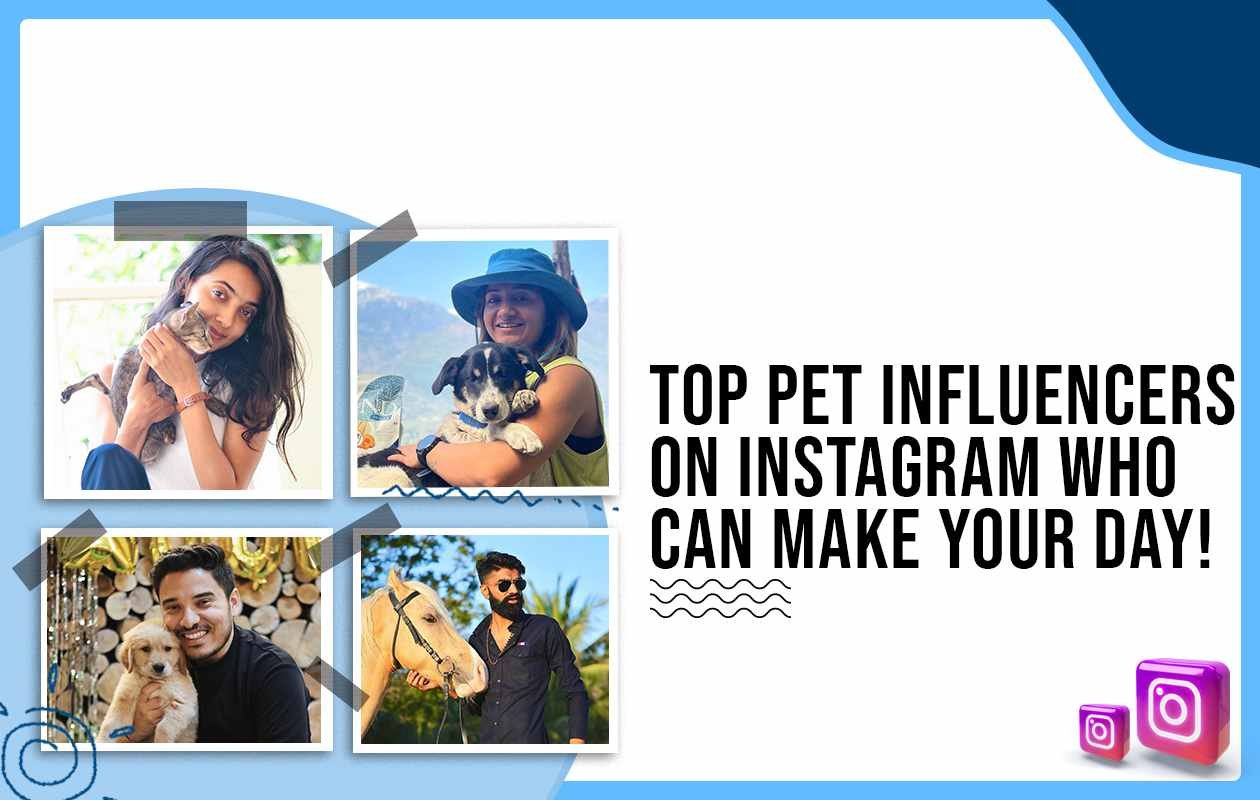 Idiotic Media | Top Pet Influencers on Instagram you should follow