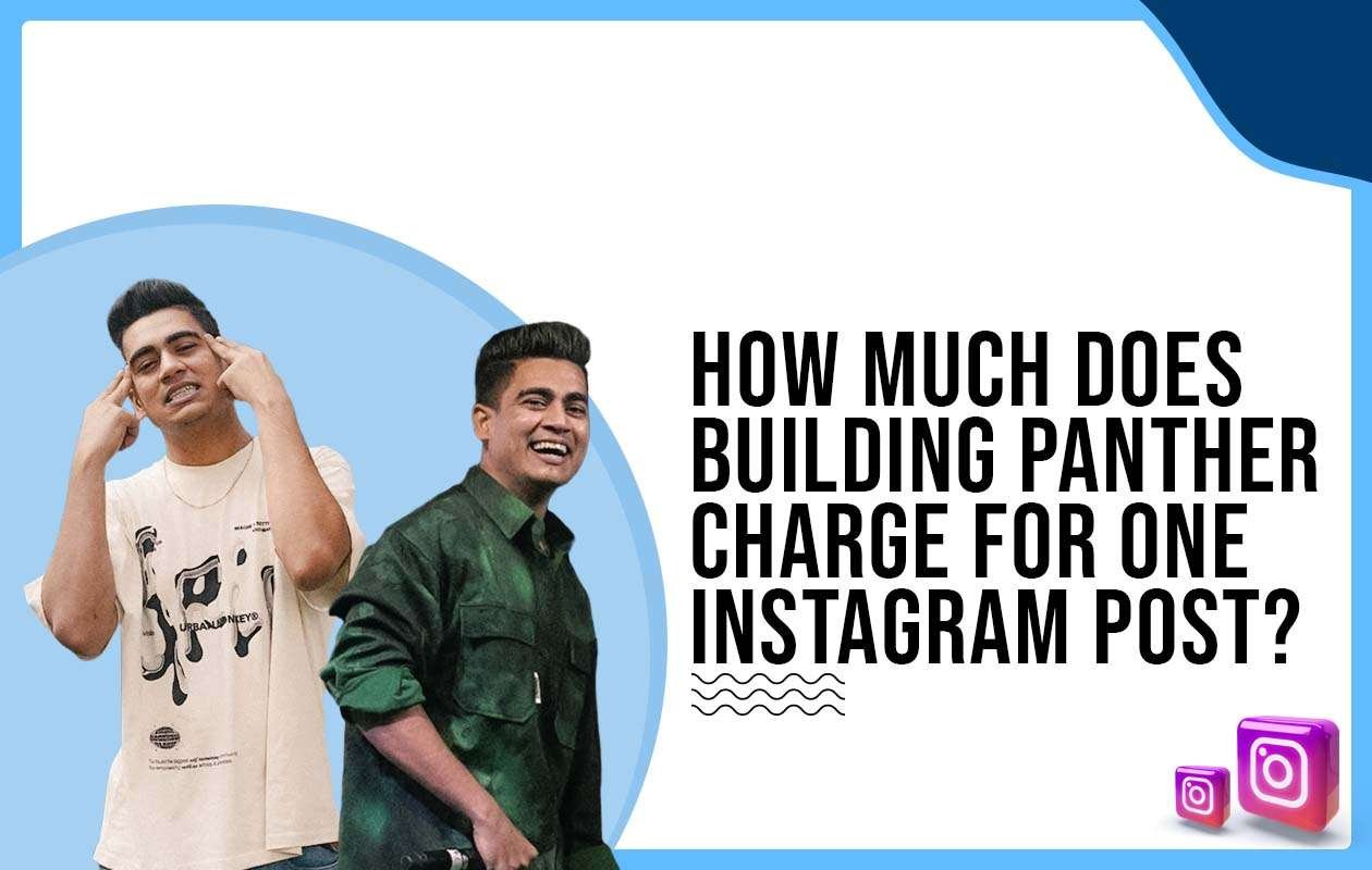 Idiotic Media | How much does Panther charge to post on Instagram?