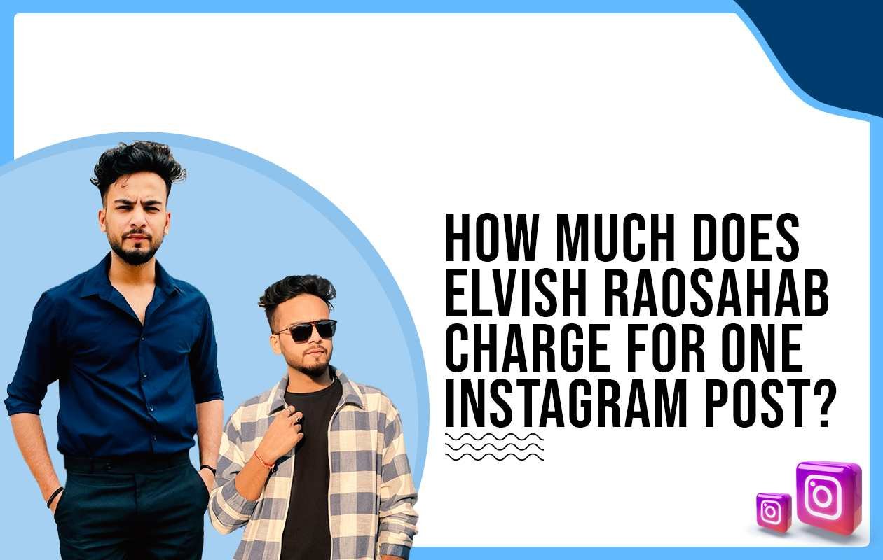 Idiotic Media | How much does Elvish Raosahab charge to post on Instagram?