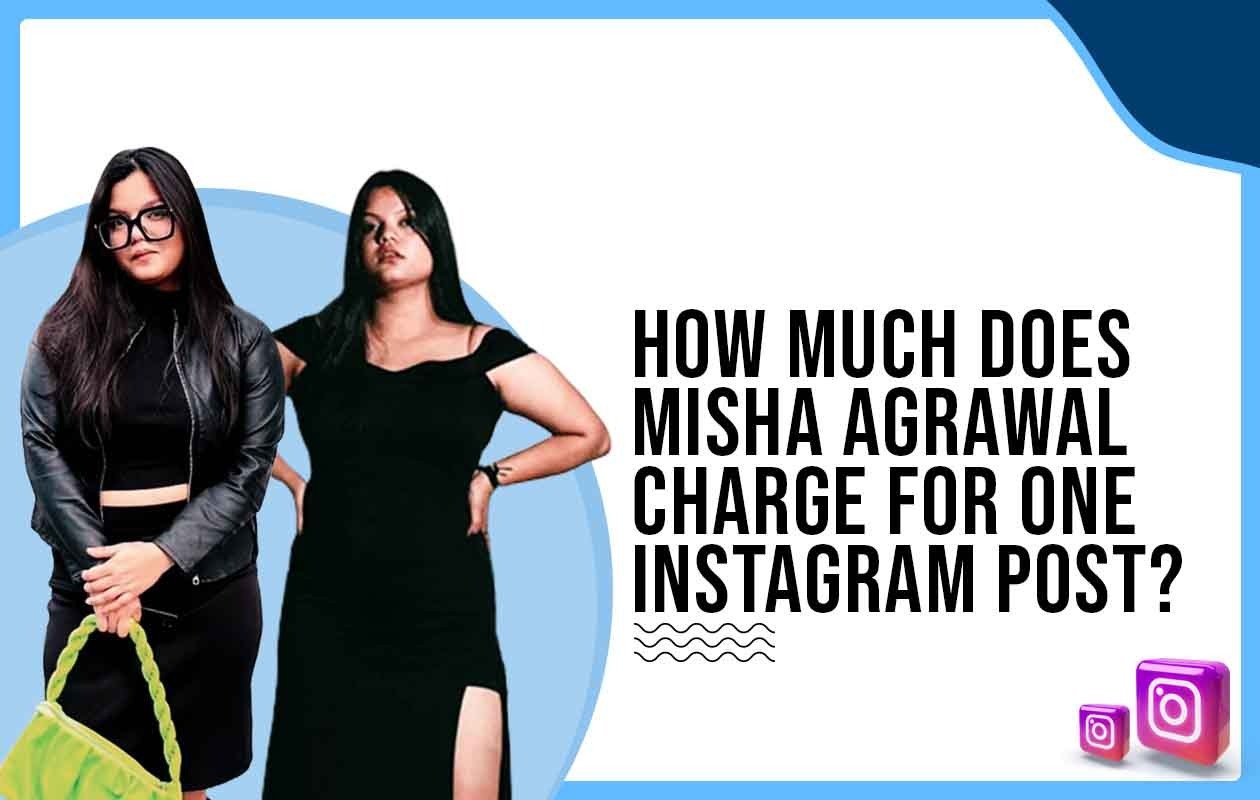 Idiotic Media | How much does Misha Agrawal charge for One Instagram Post?