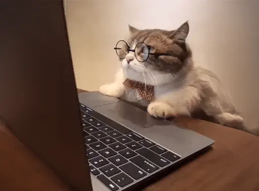 Trend and Audience Research